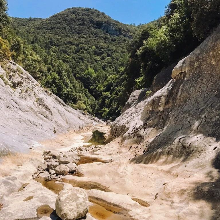 An intermittent stream in the pyrenean foothills in the midst of the dry season with only some small pools with increasingly warm water on the blank bedrock remaining.. Photo by @galdric98, Riera d'Escales, Garrotxa

#drystream #garrotxa #riusdecatalunya #intermittentstream