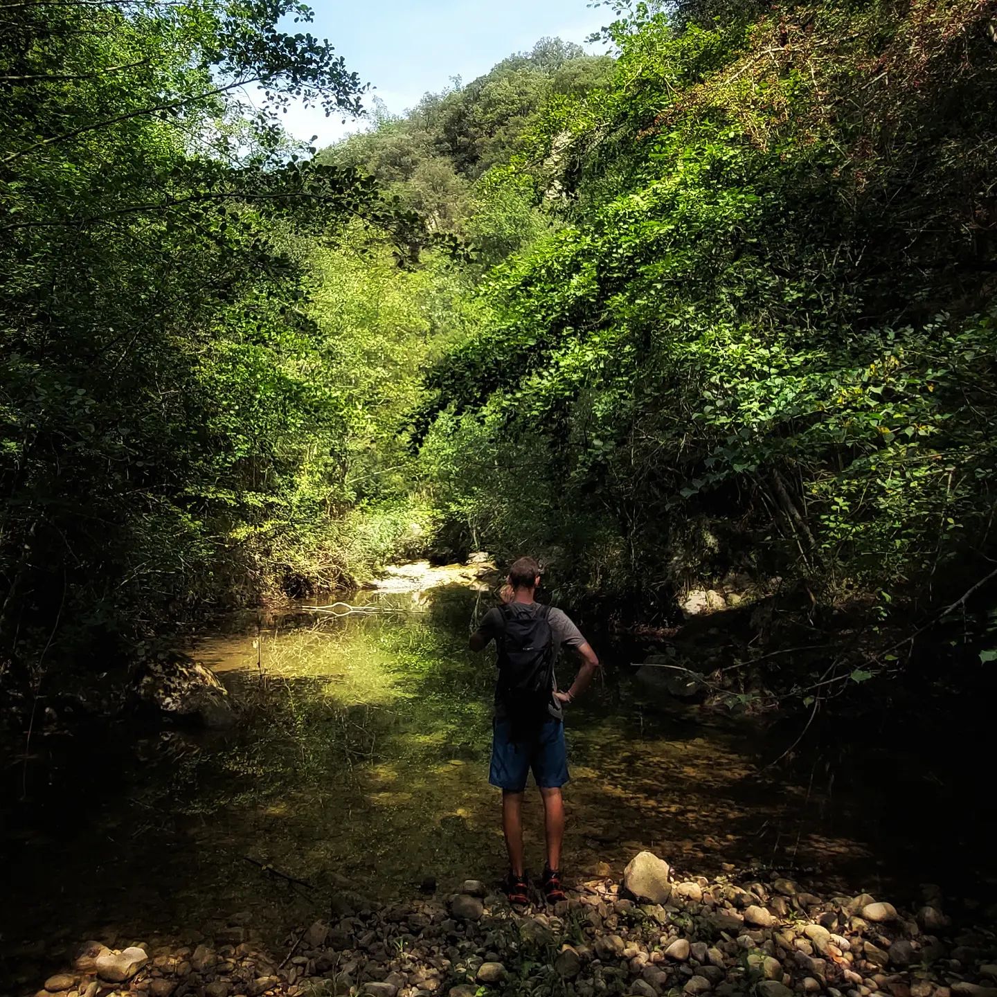 In the field with my amazing field technician @galdric98, exploring our study streams after the rain and documenting how some fish may manage to escape the refuge pools that enabled them to survive the dry summer months
