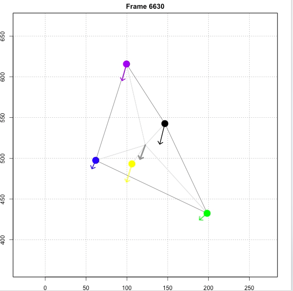 Short visual on vectorized movements of small fish school
