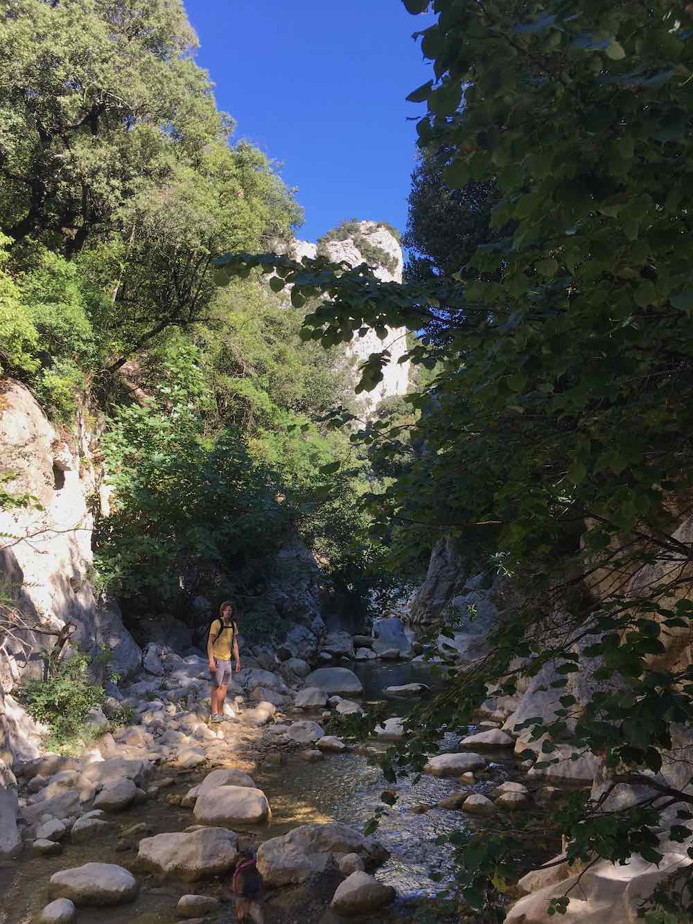 Awarded Young Scholar Fund grant