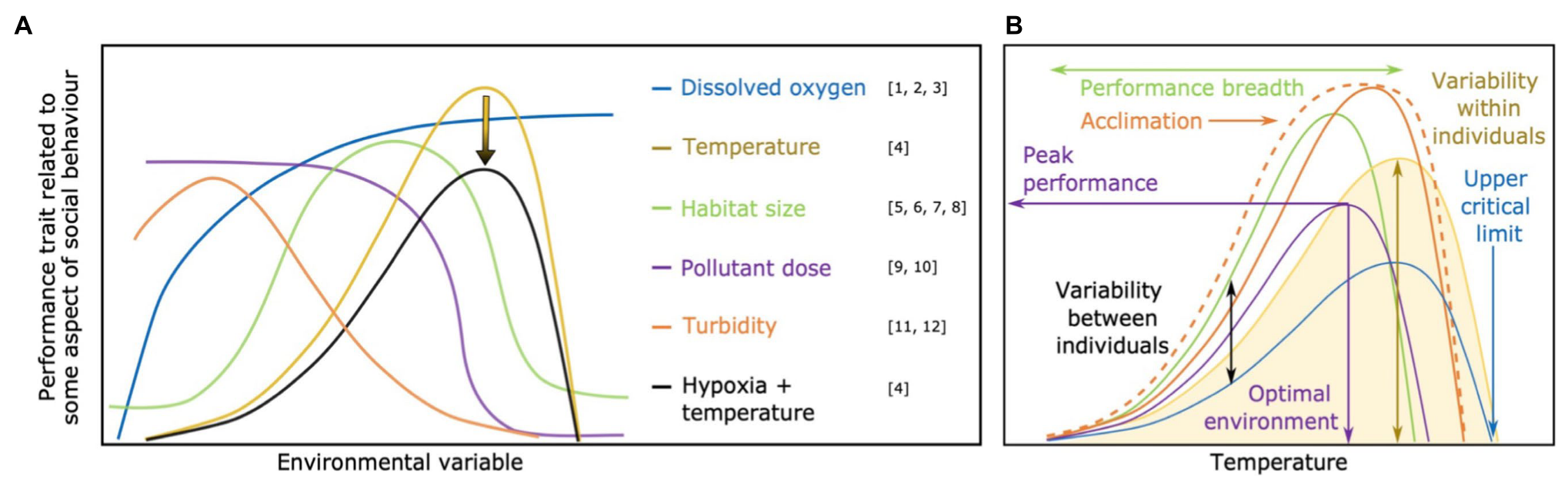 New paper out in Frontiers in Physiology