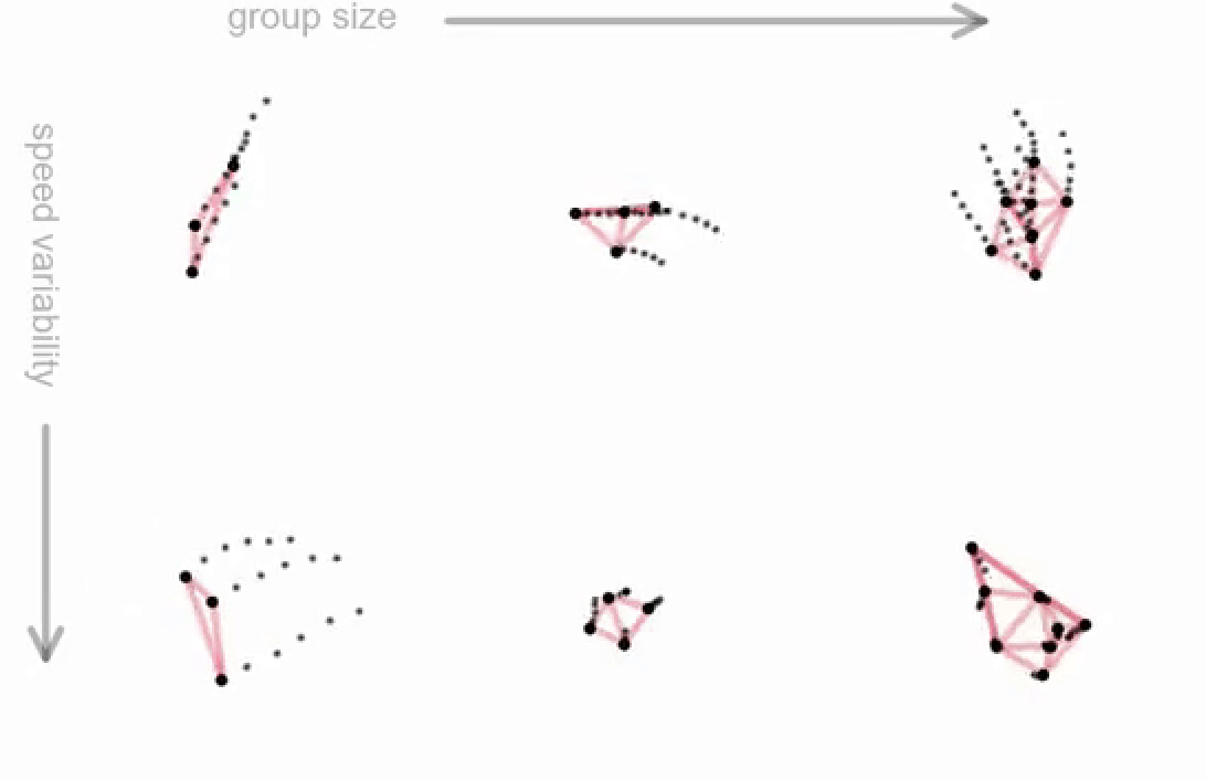 New paper out in Frontiers in Physics on variability in speed effects